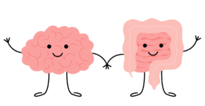 The Role of the Gut Microbiome on Anxiety and Depression