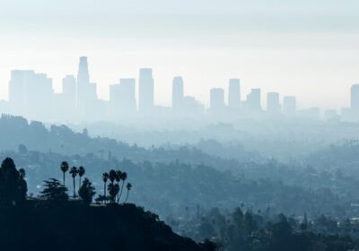 Supporting Los Angeles Through Community Crisis